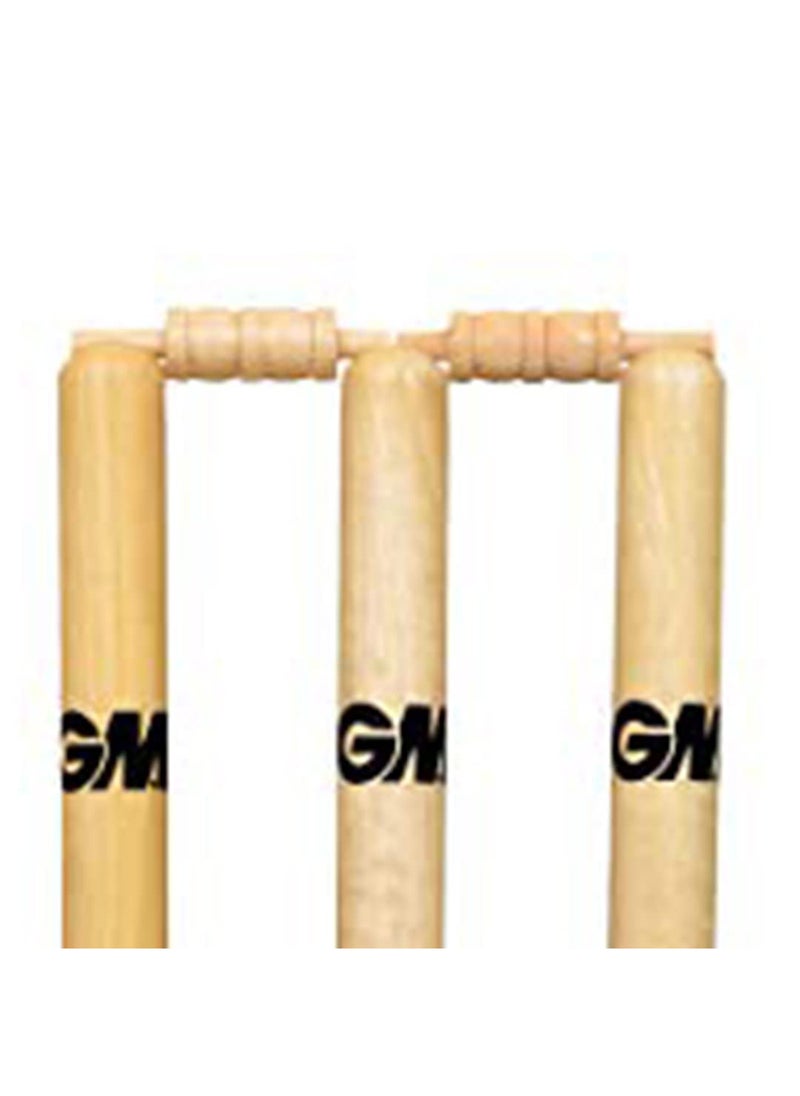 GM Spring Cricket Stumps Set |Material - Wood  - Image 5
