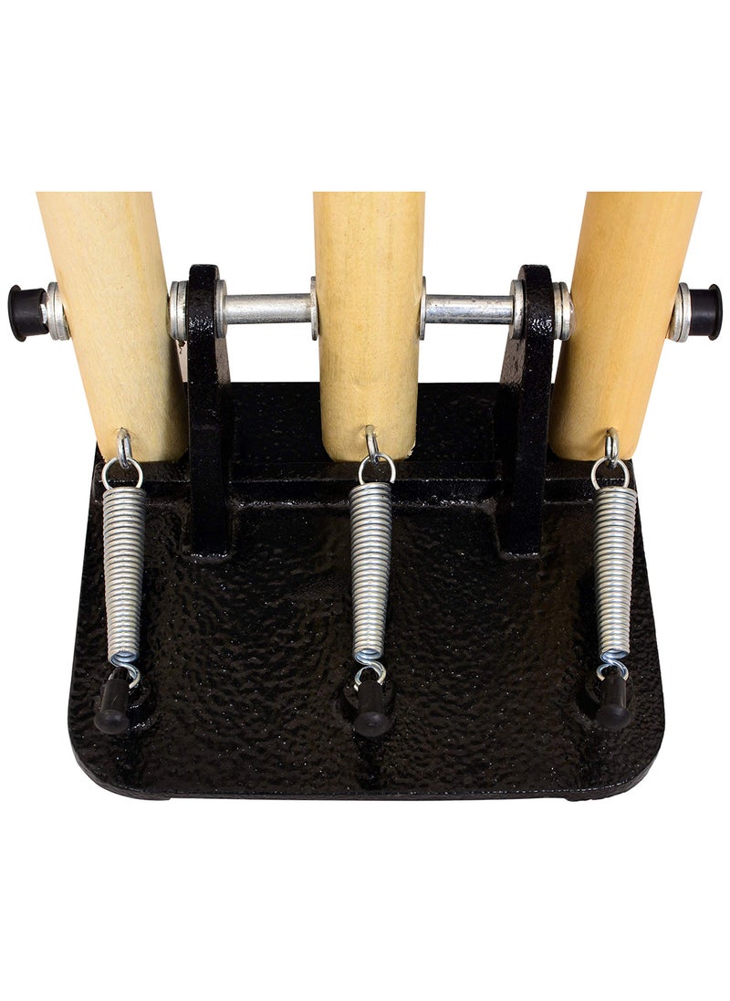 GM Spring Cricket Stumps Set |Material - Wood  - Image 3