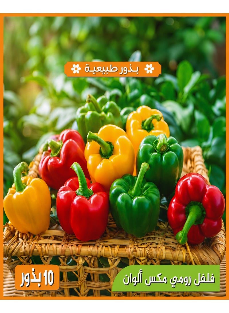 Mixed Color Sweet Bell Pepper Seeds for Planting, Home Garden Rainbow Capsicum - Image 1