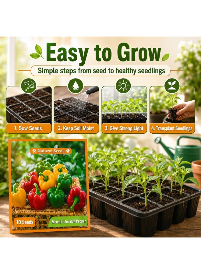 Mixed Color Sweet Bell Pepper Seeds for Planting, Home Garden Rainbow Capsicum - Image 5