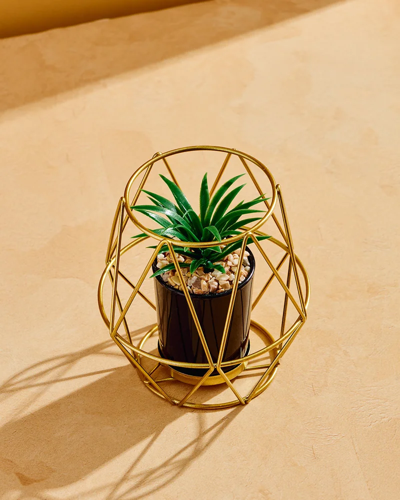 REDTAG Decorative Artificial Succulent Plant With Metal Stand Gold