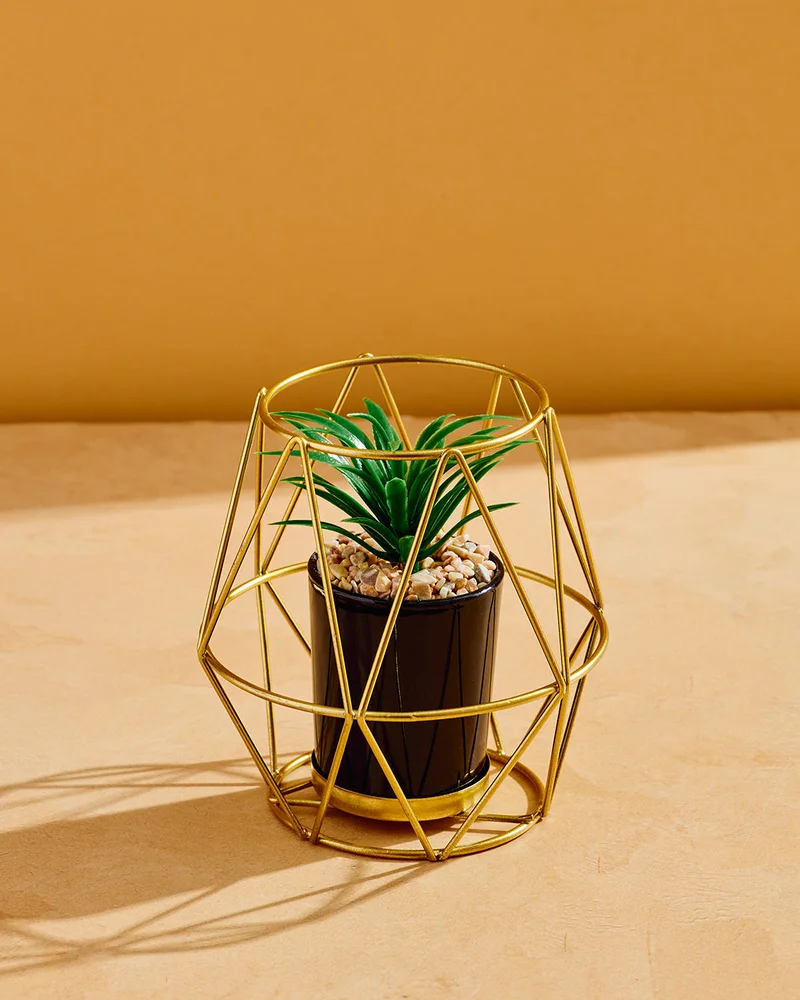 REDTAG Decorative Artificial Succulent Plant With Metal Stand Gold