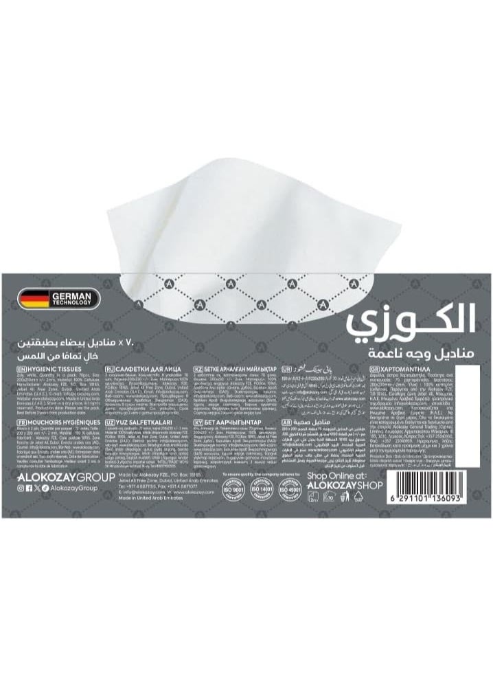 Alokozay Facial Tissues Assorted 70 Sheets x 2 Ply Single  - Image 1