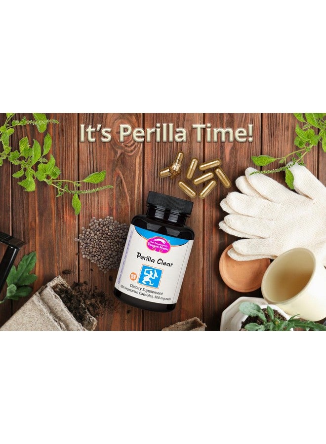 Dragon Herbs - Perilla Clear Capsules - 60 Capsules, 500 mg Each - Image 2