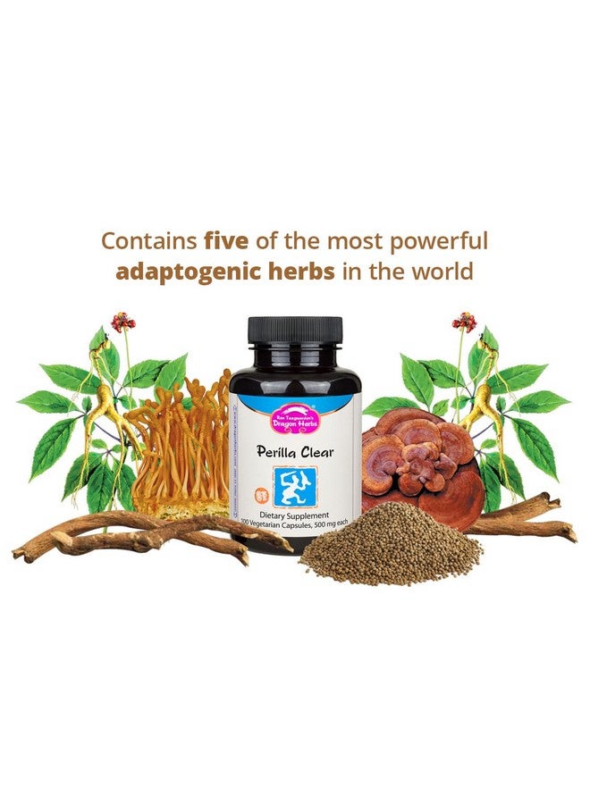 Dragon Herbs - Perilla Clear Capsules - 60 Capsules, 500 mg Each - Image 3