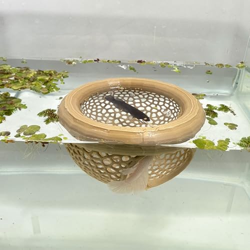 HOZOE Aquarium Floating Betta Fish Skins Betta or Shrimp Feeder Cave and Hammock Small Fish Feeding Rings Aquarium Hiding Feeding Decorative Accessories Wood Color - Image 1