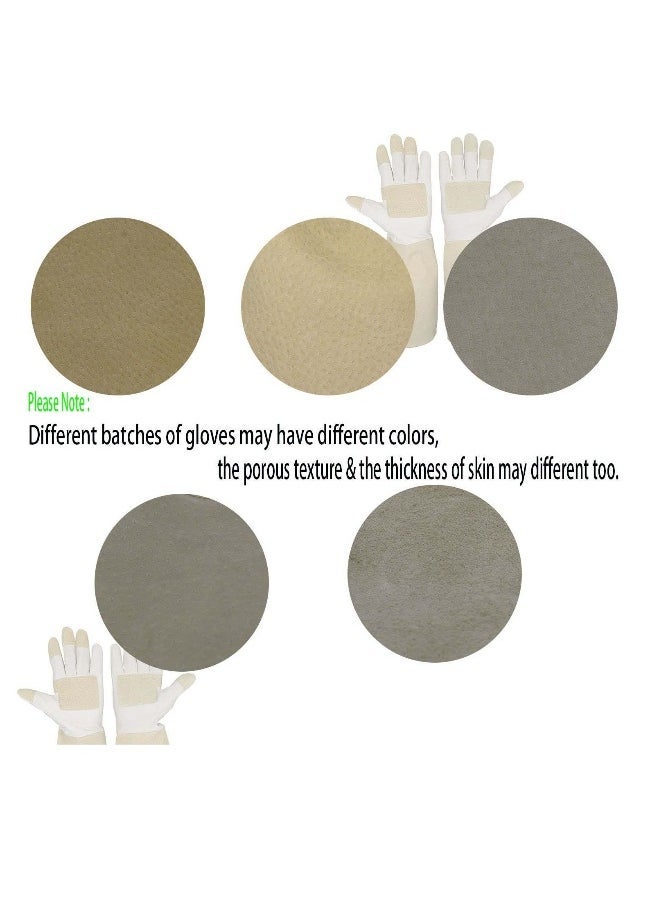 Generic Heavy Duty Gardening Gloves, Rose Pruning Gloves for Men & Women, Long Thorn Proof Gardening Gloves, Breathable Leather Gauntlet , Best Garden Gifts & Tools for Gardener (Large, Beige) 