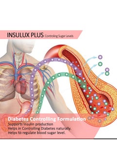 ANC Herbal Insulux Plus With Berberine And Milk Thistle For Diabetes Control 750Mg 60 Capsules For Men And Women (Pack Of 1)  - Image 2