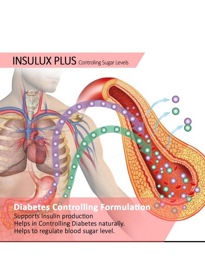 ANC Herbal Insulux Plus With Berberine And Milk Thistle For Diabetes Control 750Mg 60 Capsules For Men And Women (Pack Of 1)  - Image 2