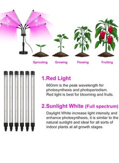 Rightsure Grow Lights for Indoor Plants, Six Head LED Grow Light with Full Spectrum, Plant Lights for Seed Starting with Adjustable Gooseneck, Suitable for Plants  - Image 2