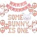 Geloar Some Bunny Is One First Birthday Party Supplies Some Bunny is One Balloons Happy Birthday Banner for Spring Easter Rabbit Themed Baby Girls 1st Bday Baby Shower Decorations Set of 28 PCS - Image 3