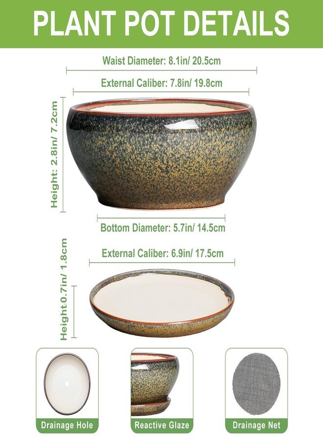 SQOWL Succulent Pots - 8 Inch Ceramic Bonsai Pots, Round Shallow Planter with Drainage Hole and Saucer, Succulent Indoor Planter, Bowl Planters Outdoor, Apartment Decor, Gifts for Women, Brown - Image 2
