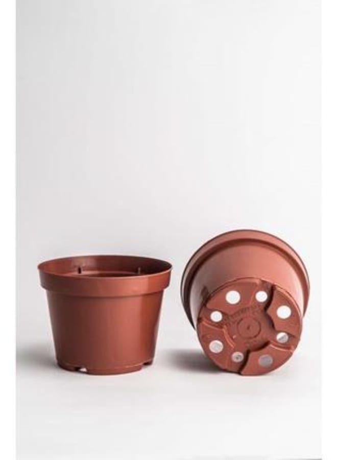 Meridian Foldani Flower Pot for Home, Balcony and Garden Decor, Flower Pot, Plant Holder Pots, Indoor Plant Holder by Meridian, Red, 16cm, Set of 12 - Image 2