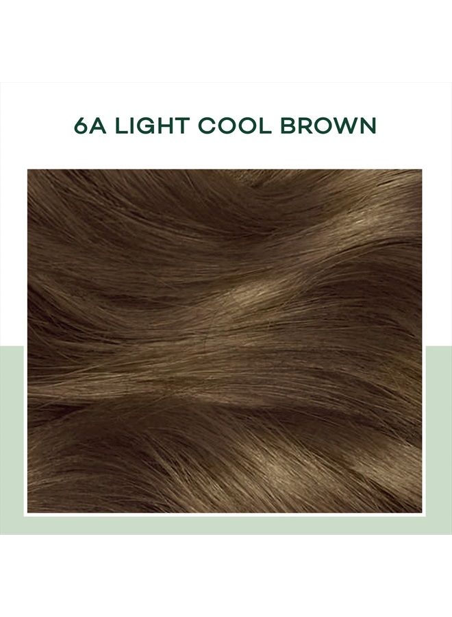 CLAIROL صبغة شعر دائمة شبه طبيعية، 6A بني فاتح بارد، عبوة من 3 - Image 2