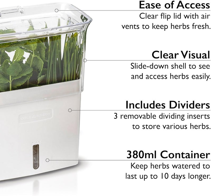 Cole & Mason Tealby Fresh Cut Herb Keeper, Herb Pot for Fridge/Herb Storage/Herb Saver/Herb Box, Acrylic, (H) 230 mm x (W) 185 mm x (D) 120 mm, Includes Removable Dividers - Image 5