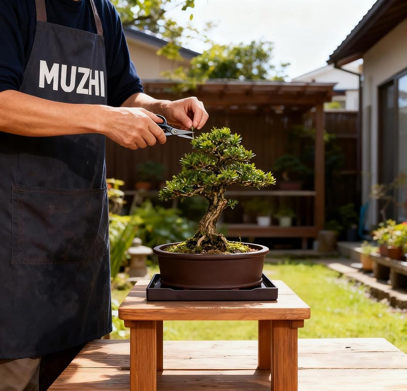 MUZHI Unglazed Natural Clay Bonsai Pot with Drip Tray, Oval Vintage Bonsai Tree Planter with Drainage for Bonsai Training Succulent Arrangement (Oval) - Image 5