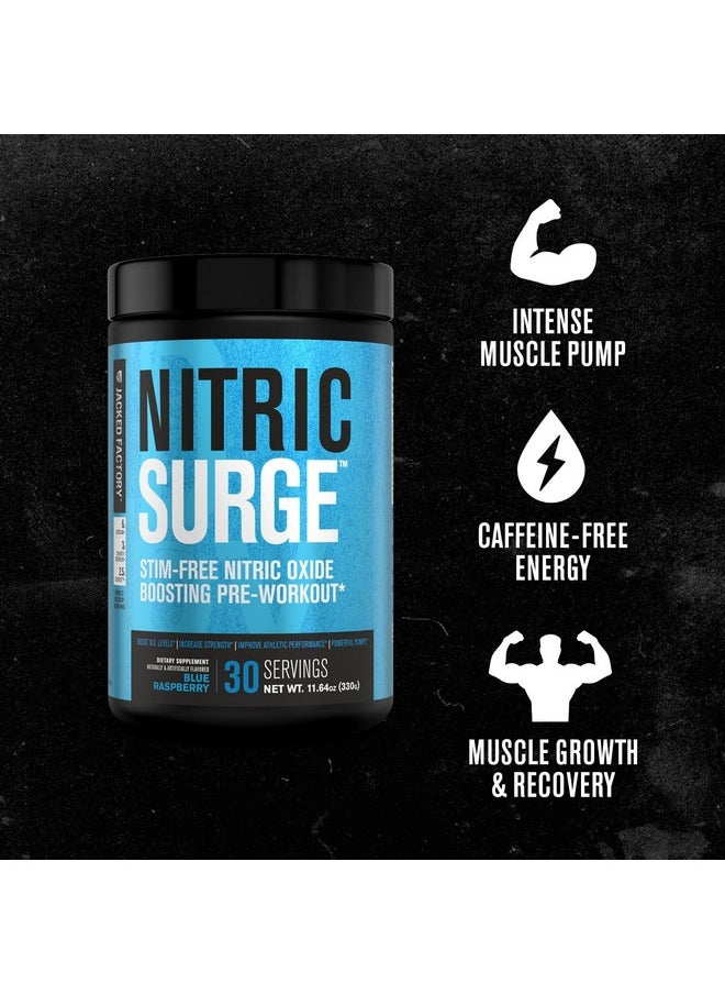 Nitric Surge Stim Free Pre Workout Powder - Caffeine Free Nitric Oxide Supplement w/Con-Cret Creatine, L Citrulline, & GlycerSize Glycerol for Pumps & Muscular Hydration - Blue Raspberry, 30 Servings - pzsku/Z6797E6525EFE5BE8A8A2Z/45/_/1735908055/4a4d5574-821c-4a4e-a4b6-0892915c36fe