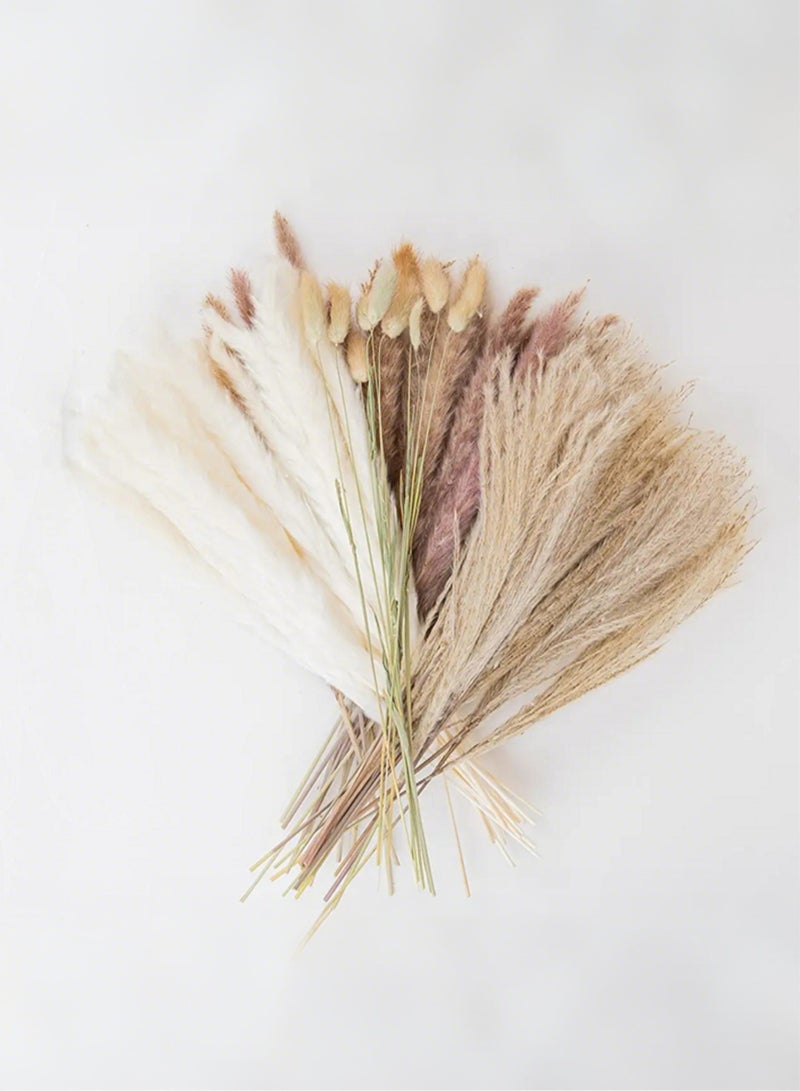 Jourvent 60PCS Natural Dried Pampas Grass Bouquet Brown White Reed Pampas Floral Arrangements Decorations for Home Room Office Party Decor - Image 3