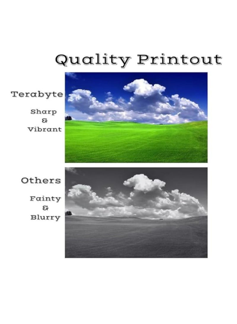 Terabyte 85A Compatible Toner Cartridge for LaserJet P1102 MFP M1132 and M1212 series Printers CE285A (PACK OF 2) - Image 2