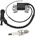 Buckbock GX390 Ignition Coil for Honda GX270 GX340 GX390 8HP 9HP 10HP 11HP 13HP Engine Lawn Mower for GP5000 GP5500 GP6500 GP7500E Generator Parts for 0J35220153 Honda 30500ZE9L33 30500ZF6W01 - Image 2