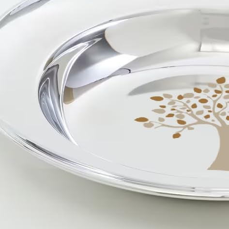 Next Future, Set of 6 Plates, Stainless Steel Deep Soup/Breakfast/Maggi/Pasta/Gravy Plate Large Size with Laser Print (Heavy Gauge) Soup Plate - Diameter: 10 Inches/ 25.4 cms - Image 4