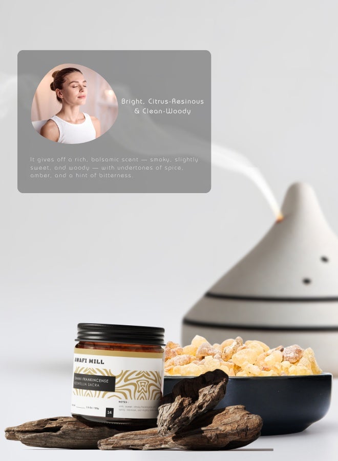 أباميك لبان حلو من عوافي ميل - راتنج لبان صالح للأكل | راتنج علكة بوسويليا طبيعي - ١٠٠ غرام | ٣٫٥ أونصة - Image 5