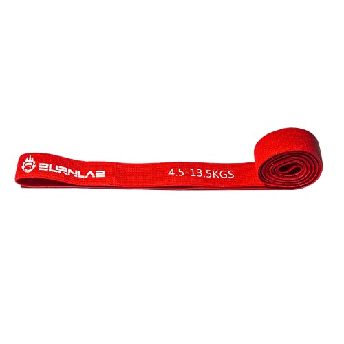 Burnlab Anti Slip Fabric Resistance Bands (Set of 5 Resistance Levels - upto 45 Kgs) with Carrying Pouch - Pull Up Bands for Stretching, Workouts, Powerlifting, Home Fitness and Gym - for Men and Women - Image 2