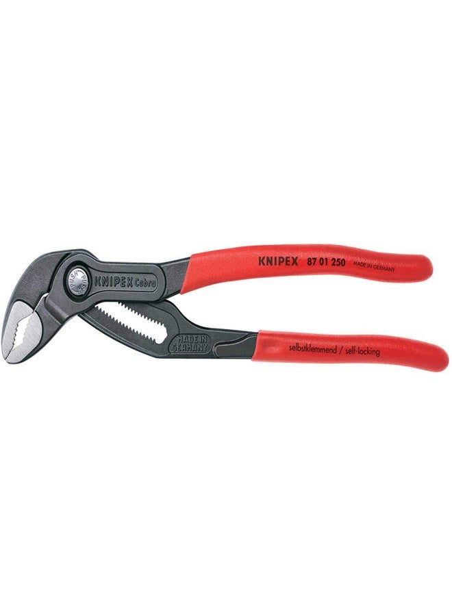 كنيبيكس كماشة Knipex 8701-10 ذات وصلة صندوقية ذات لسان وأخدود مقاس 10 بوصات - Image 2