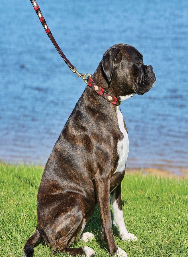WeatherBeeta Polo Leather Dog Collar, Beaufort Brown/Pink/Blue, Medium - Image 5