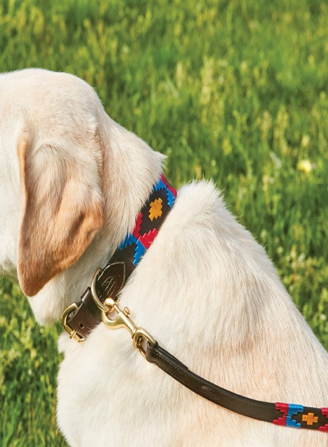 WeatherBeeta Polo Leather Dog Collar, Beaufort Brown/Pink/Blue, Medium - Image 4