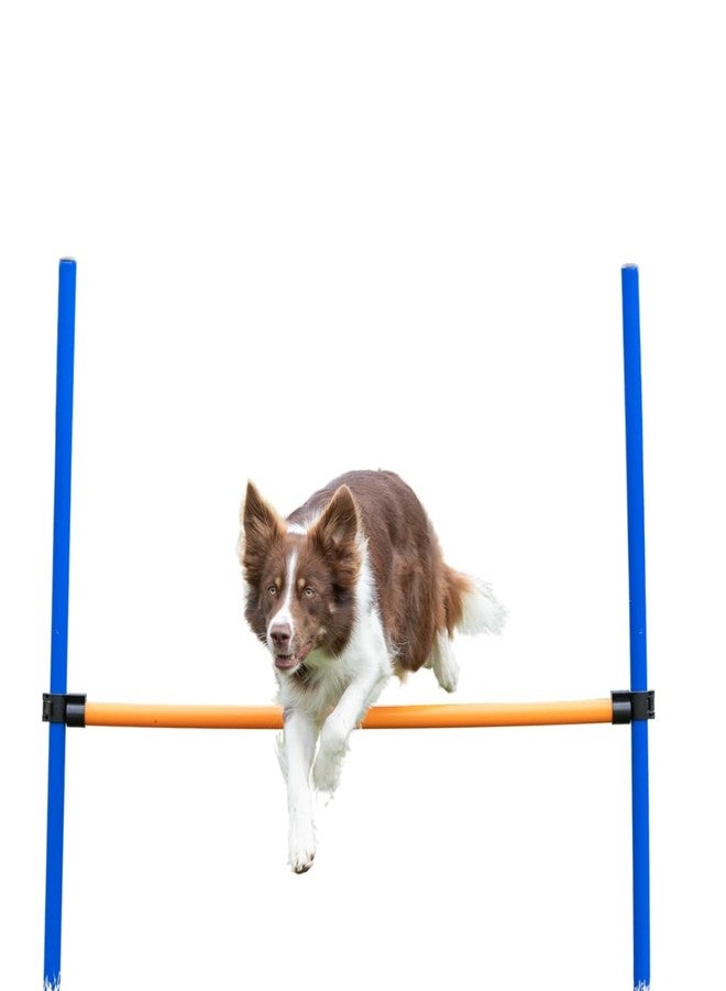 TRIXIE Agility Hurdle Adjustable Dog Jump, Ideal for Beginners & Advanced, Dog Obstacle Course Equipment 1 x Hurdle - Image 1
