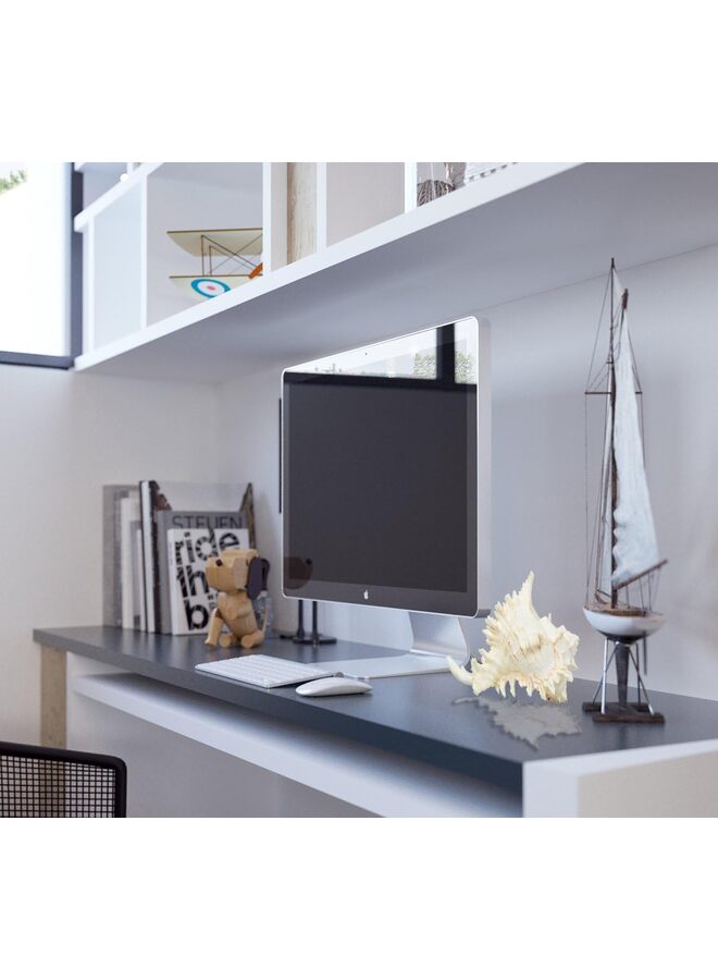 Large Natural Sea Shells, Huge Ocean Conch 4-5.5 inches Jumbo Seashells Perfect for Wedding Decor Beach Theme Party, Home Decorations,DIY Crafts, Fish Tank and Shell Collectors - Image 4