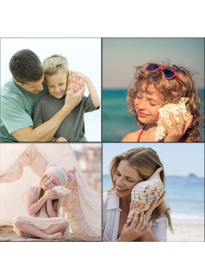 Large Natural Sea Shells, Huge Ocean Conch 4-5.5 inches Jumbo Seashells Perfect for Wedding Decor Beach Theme Party, Home Decorations,DIY Crafts, Fish Tank and Shell Collectors - Image 5