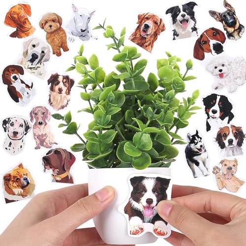Dekorly Plastic Artificial Plants Small Fake Potted Plants, Mini Eucalyptus Potted Faux Decorative Grass Plant With White Pot For Home Decor, Indoor, Office, Desk, Shelf, Table Decoration|Pack Of 8 - Image 4