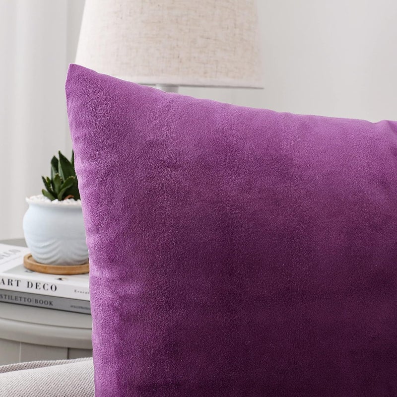 NiNi ALL Decorative Throw Pillow Covers Velvet Soft for Couch Sofa Bedroom Living Room Outdoor Pack of 2 20x20 Inch Purple - Image 3