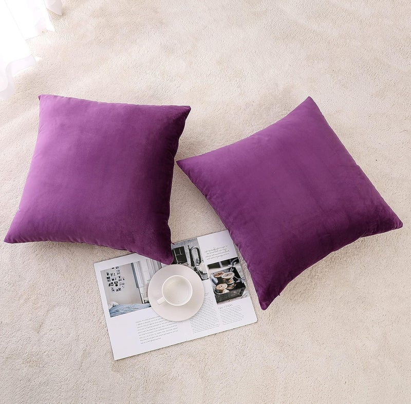 NiNi ALL Decorative Throw Pillow Covers Velvet Soft for Couch Sofa Bedroom Living Room Outdoor Pack of 2 20x20 Inch Purple - Image 2