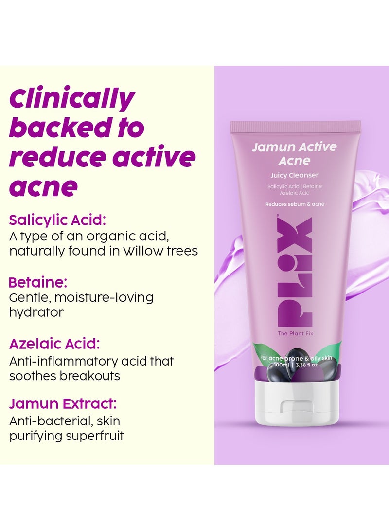 PLIX THE PLANT FIX Jamun Face Wash With Smoothie Moisturizer Combo Detoxifies Skin, Reduces Active Acne, Fades Blemishes For All Skin Types - Image 4