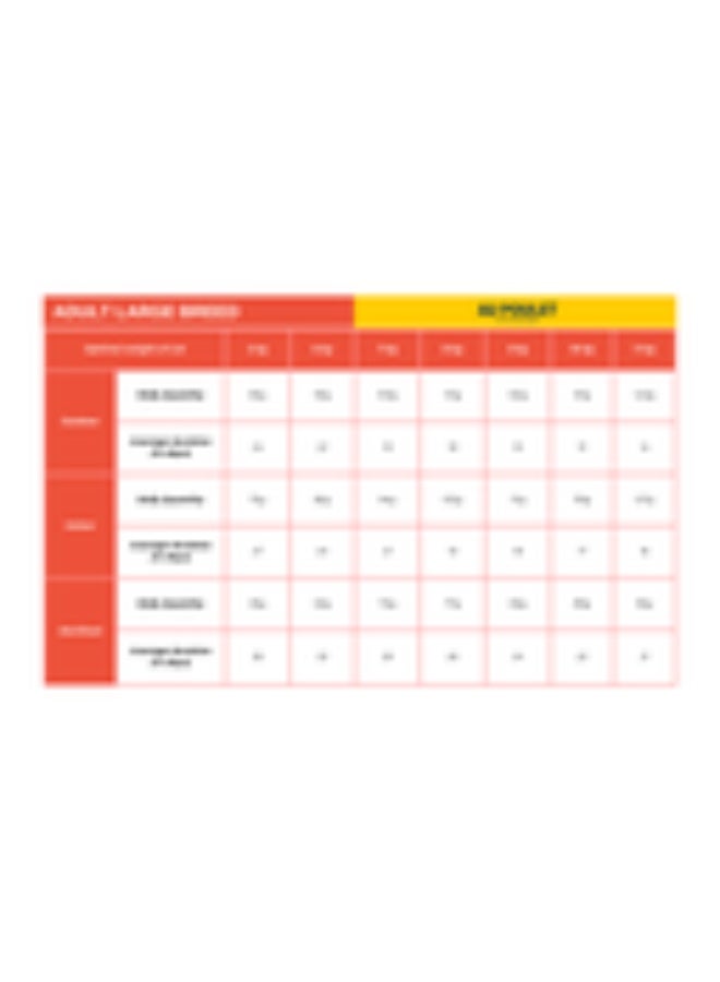 برو نيوتريشن بريستيج للقطط البالغة من السلالة الكبيرة مع الدجاج 2 كجم - Image 3