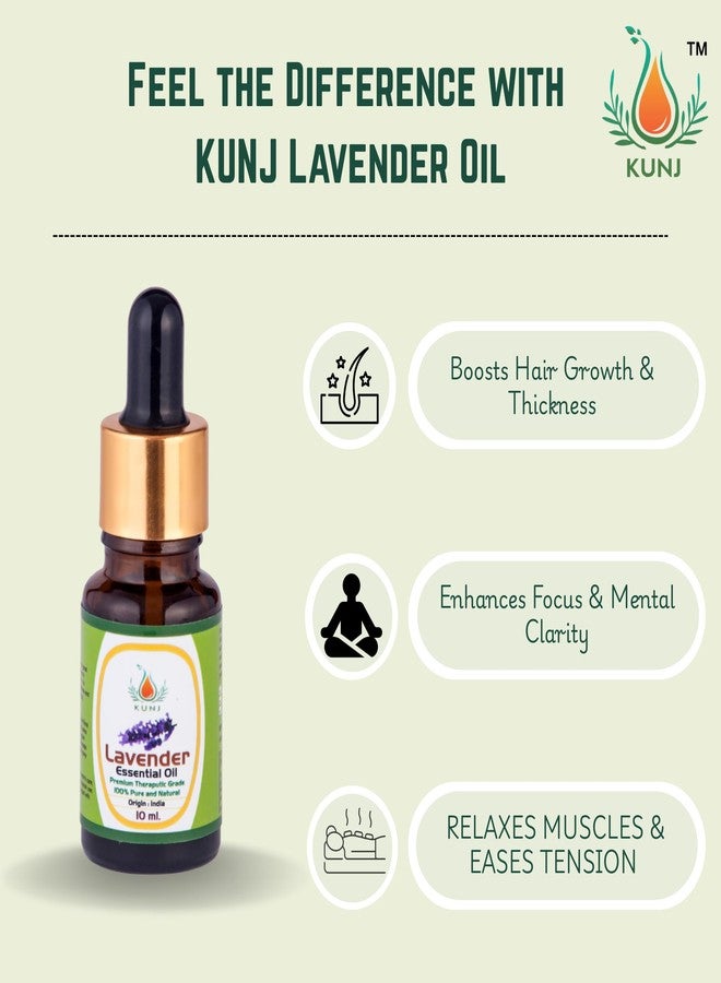 KUNJ Lavender Essential Oil (Lavandula angustifolia) 10ML - 100% Pure & Natural, Undiluted, Steam Distilled - Therapeutic Grade Oil for Hair Growth, Skin Care & Relaxation - Image 2