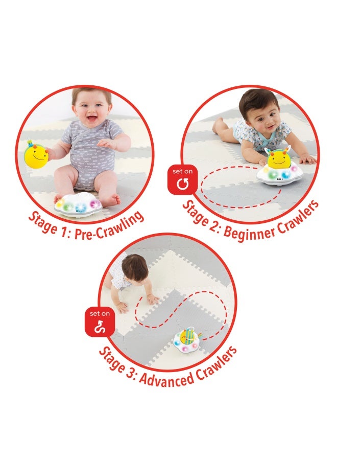 Skip Hop استكشف والمزيد تابع لعبة الزحف نحلة - Image 5
