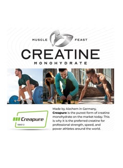 Muscle Feast Creapure Creatine Monohydrate Powder, Vegan Keto Friendly Gluten-Free, Mass Gainer, Muscle Recovery Supplement And Best Creatine For Muscle Growth, Unflavored, 300G  - Image 2