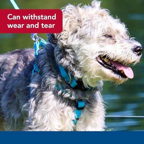 Coastal Pet - New Earth Soy - Adjustable Dog Collar, Cranberry, 3/4" x 12"-18" - Image 4