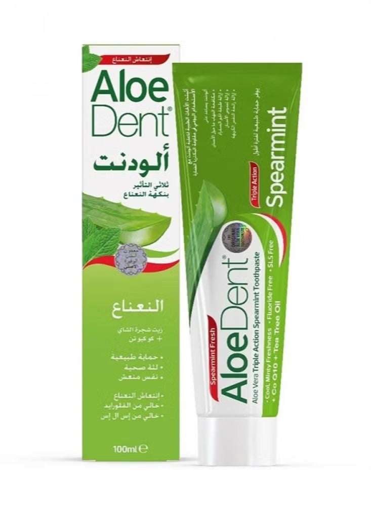 Aloedent Toothpaste 100ml Triple Action Spearmint