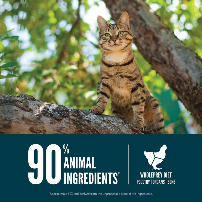 ORIJEN Guardian 8 Grain Free High Protein Premium Dry Cat Food 4lb Bag - Image 5
