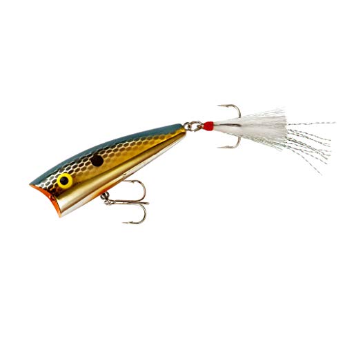 Rebel Lures Pop-R Topwater Popper Fishing Lure, Foxy Momma, Pop-R (1/4 oz), One Size - Image 1