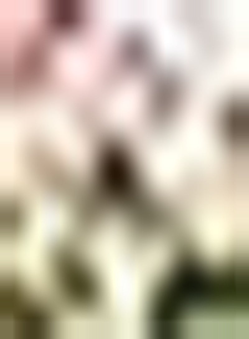 جي جوت 2 قطعة أمارلس زينة رائعة لتزيين الممرات في Hof mit Blumenbeeten Amaryllis تمنحك المزيد من الديكورات من Gängen Corridoren Einfach zu pflanzen - Image 2