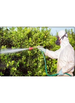 Melih Spraying Goggles-Wood Cutting Goggles (Transparent)  - Image 2