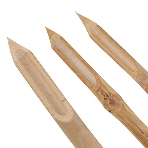 ARROLLIANT Bamboo Painting Pens for Drawing and Calligraphy, Create Different Lines and Brush Strokes - Image 4