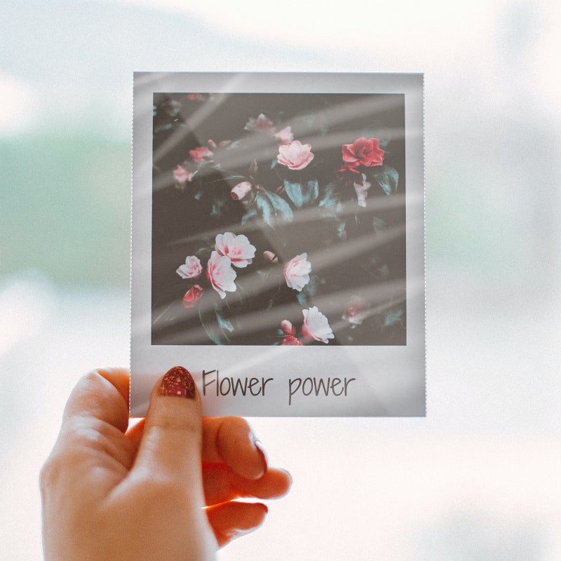 100pcs Transparent Laminating Sheet Thermal Laminating Pouches Photo Laminating Film (A4) - Image 3