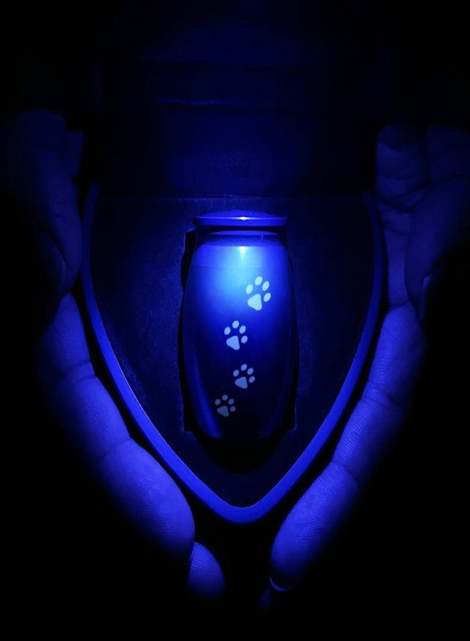 YIMSGO Small Pet Urns for Dogs Ashes, Mini Cat Urn for Ashes Keepsake, Tiny Cremation Animal Memorial Necklace ERN Earns Urnas Loss of Dog Cat Gifts, Pet Paw Print Urn - Heart Box with Blue Light - Image 5